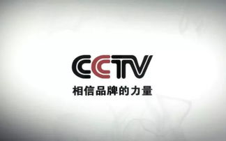 雷軍 努力工作，克制貪婪——數(shù)字廣告時(shí)代的智慧箴言