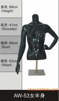 專業(yè)女半身展示模特，金得利模特廠的品質(zhì)首選與實(shí)惠價(jià)格